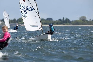 Image 1003714411