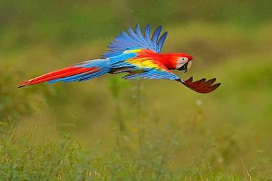 Image 1003717472