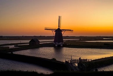 Image 1006425652