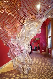 Image 1006781135