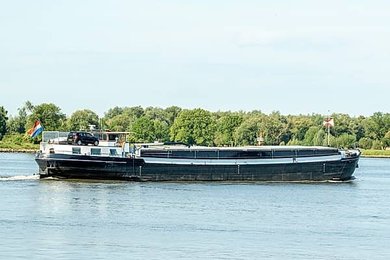 Image 1007345517