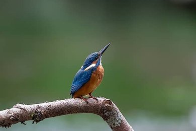Image 1007367969
