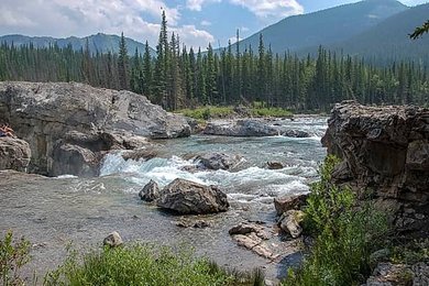 Image 1007383722