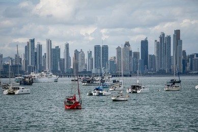 Image 1008011147