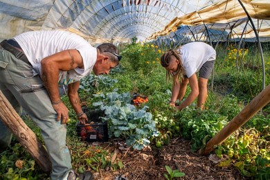 Regenerative agriculture fields in San Pol de Mar, Ferrer Sustainability Foundation, Barcelona, Spain, Europe. The Ferrer Sustainability Foundation is a non-profit organisation that aims to transform lives and work towards a more equitable and fair societ