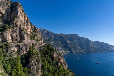 Image 1008051936