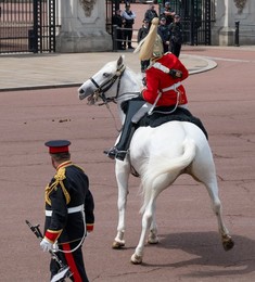 Image 1008343772