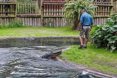 Image 1008475100