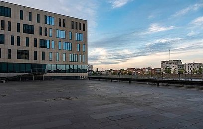 Image 1008490113