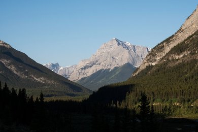 Image 1008837372