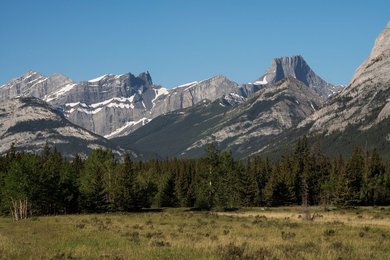 Image 1008837383