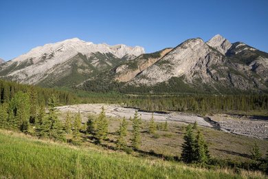 Image 1008838621