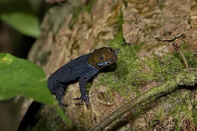 Image 1009049196