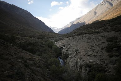 Image 1009284658