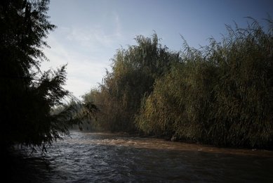 Image 1009289507
