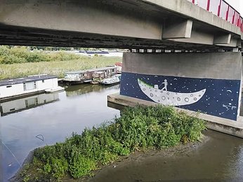 Image 1009908599