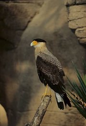 Image 1010744933