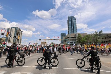 Image 1011323612