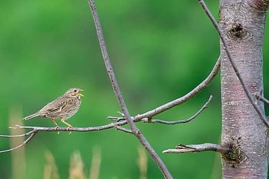Image 1011639709