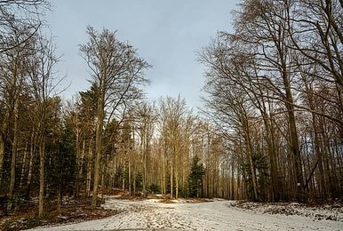 Image 1012963914