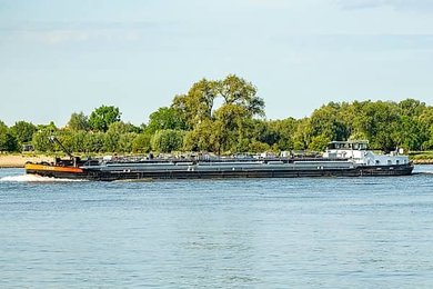 Image 1014837725