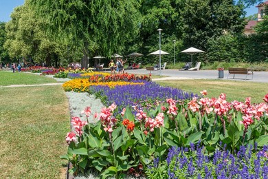Park At The Margaret Island. Budapest. Hungary