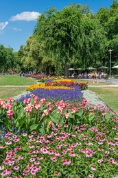 Park At The Margaret Island. Budapest. Hungary