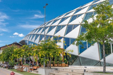 The Whale of Budapest. Budapest. Hungary