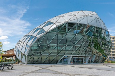 The Whale of Budapest. Budapest. Hungary