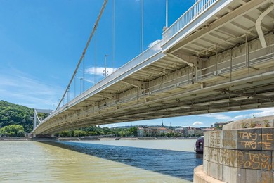 Elizabeth Bridge. Budapest. Hungary