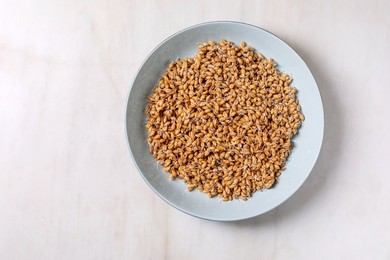 Top View of Sprouted Wheat Grains In Blue Ceramic Plate on White Wooden Table. Healthy Organic Vegan Ingredient For Cooking Baking