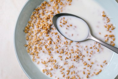 Bowl Sprouted Wheat Porridge Milk Breakfast Cereal. Metal Spoon Dipped Creamy Nutritious Morning Meal. Top View Healthy Natural Grain Dish