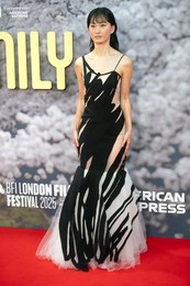 London Film Festival 2025 - Rental Family Arrivals at Royal Festival Hall, Southbank, London