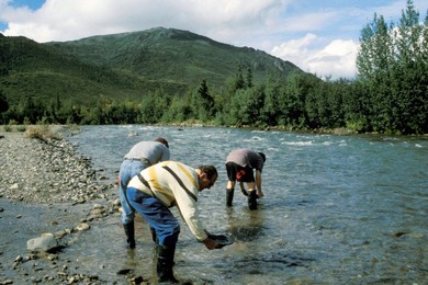 Arctic. Icy Landscape. snow. polar nature.