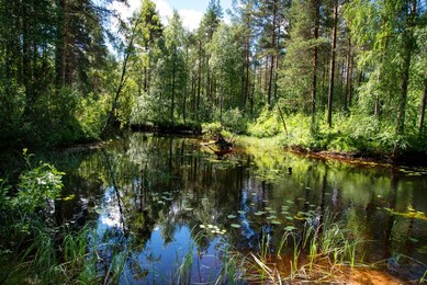 A Waterway in the Heart of Finland