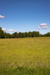A Prairie in the Heart of Finland