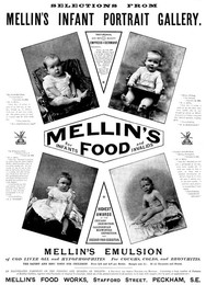 Advertisement for Mellin's Food for Infants and Invalids, 1895. Creator: Unknown.