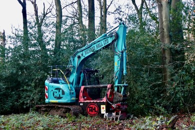 Ash Dieback Management Works