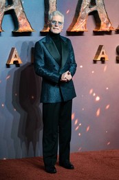 "Avatar: Fire And Ash" UK Premiere - Arrivals