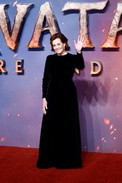 Avatar: Fire and Ash 
UK Premiere in London 11/12/2025
Sigourney Weaver attends the UK premiere of 'Avatar: Fire and Ash
At BFI IMAX, Waterloo in London, United Kingdom