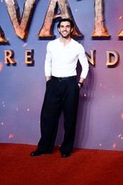 Avatar: Fire and Ash 
UK Premiere in London 11/12/2025
Sigourney Weaver attends the UK premiere of 'Avatar: Fire and Ash
At BFI IMAX, Waterloo in London, United Kingdom