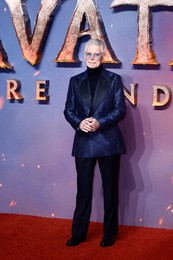 Avatar: Fire and Ash 
UK Premiere in London 11/12/2025
Sigourney Weaver attends the UK premiere of 'Avatar: Fire and Ash
At BFI IMAX, Waterloo in London, United Kingdom