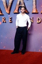 Avatar: Fire and Ash 
UK Premiere in London 11/12/2025
Sigourney Weaver attends the UK premiere of 'Avatar: Fire and Ash
At BFI IMAX, Waterloo in London, United Kingdom