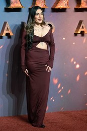 "Avatar: Fire And Ash" UK Premiere - Arrivals
