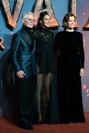 "Avatar: Fire And Ash" UK Premiere - Arrivals