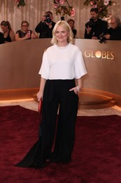 83rd Annual Golden Globe Awards