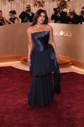 83rd Annual Golden Globe Awards