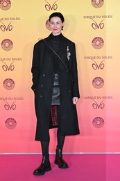 OVO by Cirque du Soleil Premiere Red Carpet in London