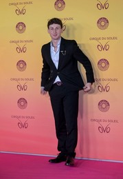 Cirque Du Soleil's "OVO" VIP Premiere - Arrivals, Royal Albert Hall , London