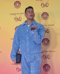 Cirque Du Soleil's "OVO" VIP Premiere - Arrivals, Royal Albert Hall , London
